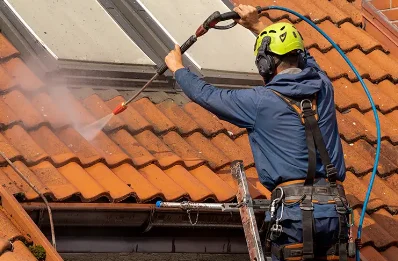 Démoussage et hydrofuge de toiture à Panjas